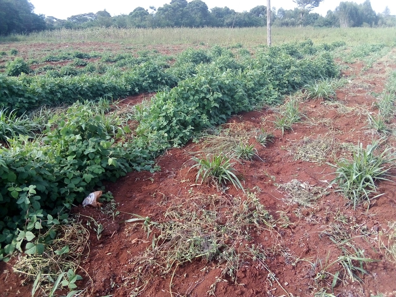 /images/claves/claves15.jpeg1