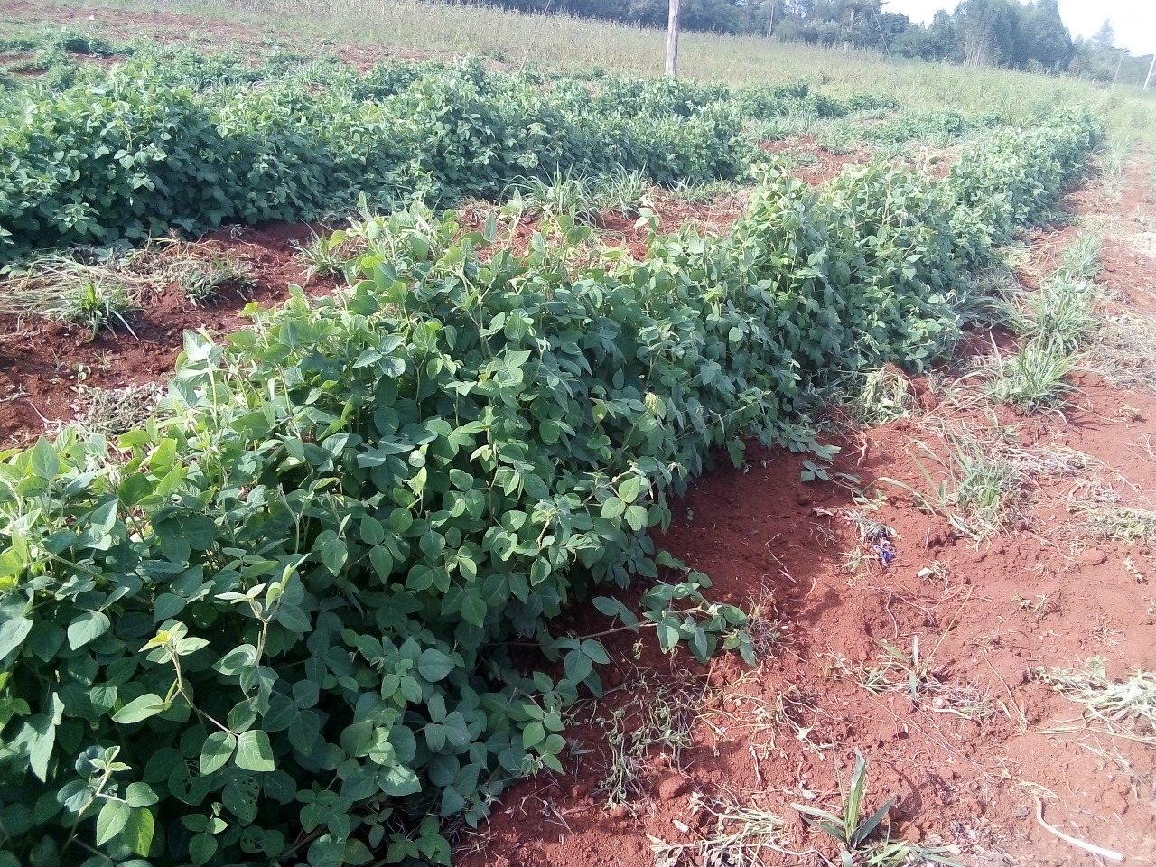 /images/claves/claves16.jpeg1