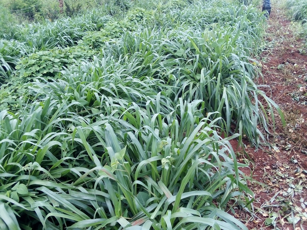 /images/claves/claves18.jpeg1