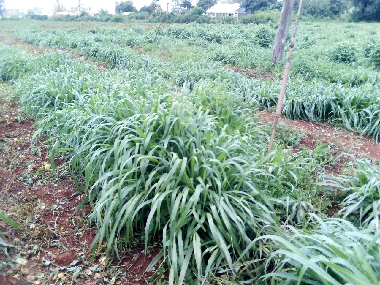 /images/claves/claves19.jpeg1