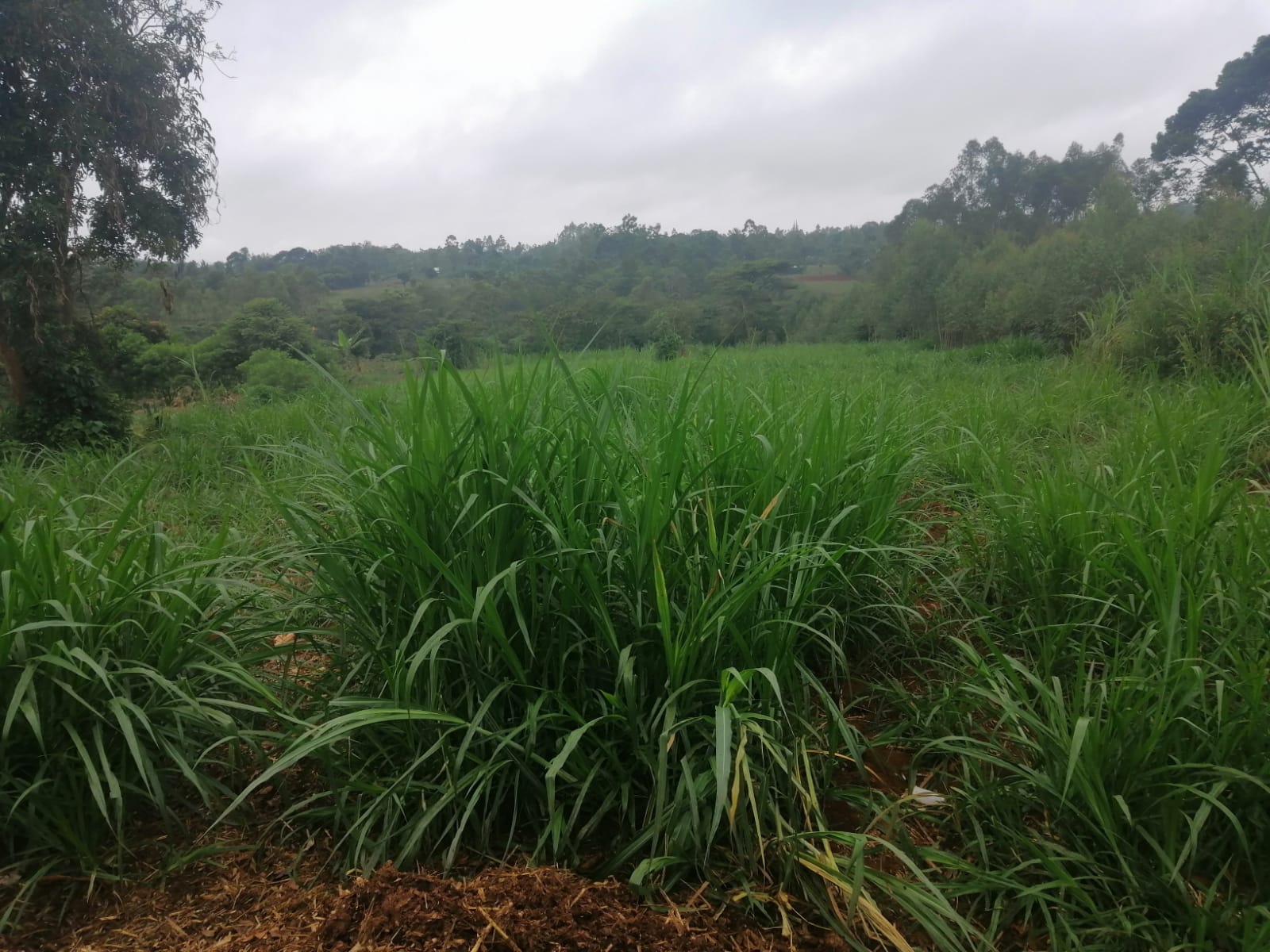 /images/claves/claves2.jpeg1