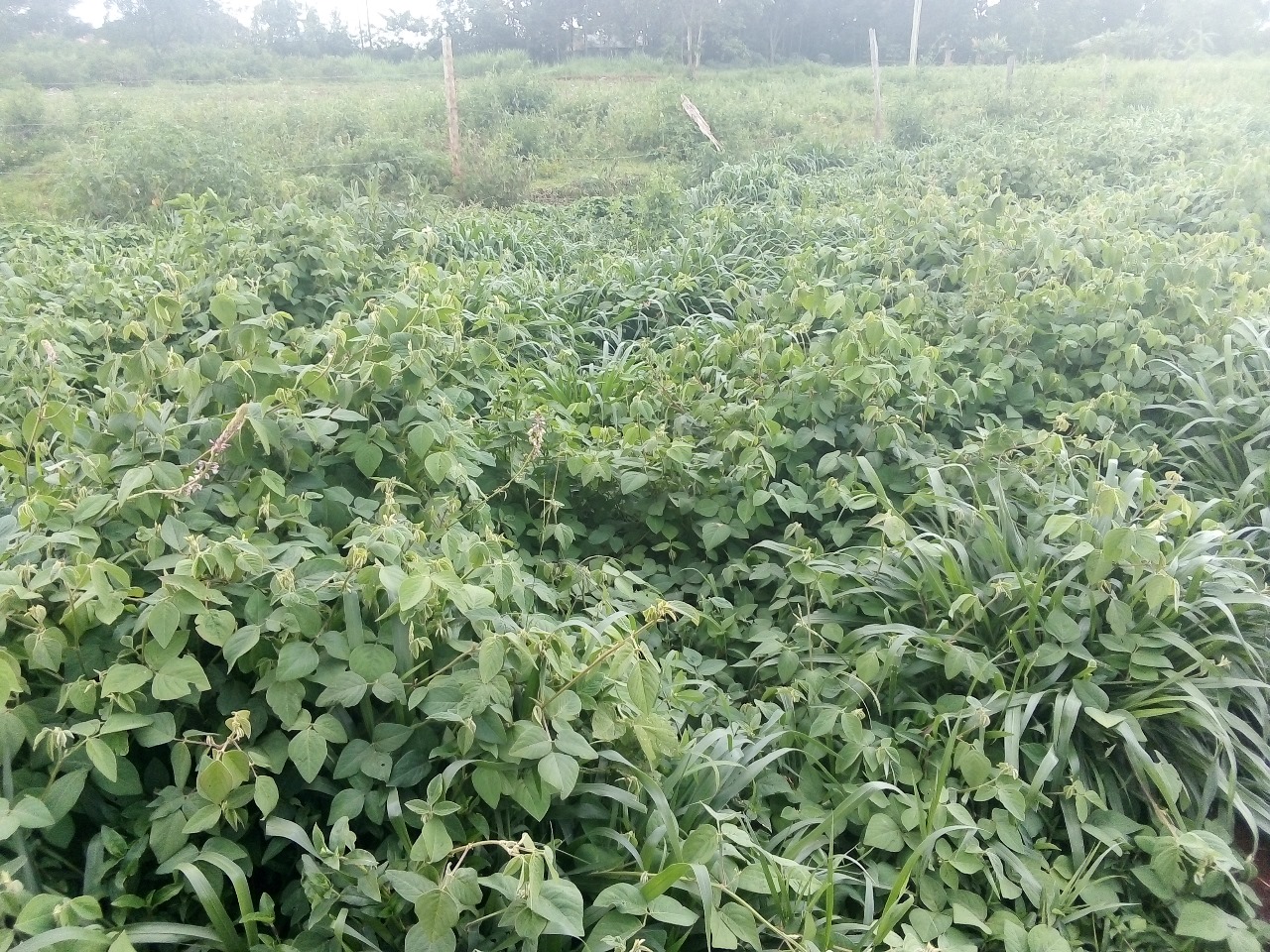 /images/claves/claves21.jpeg1