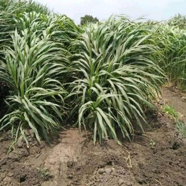 /images/claves/claves4.jpeg1