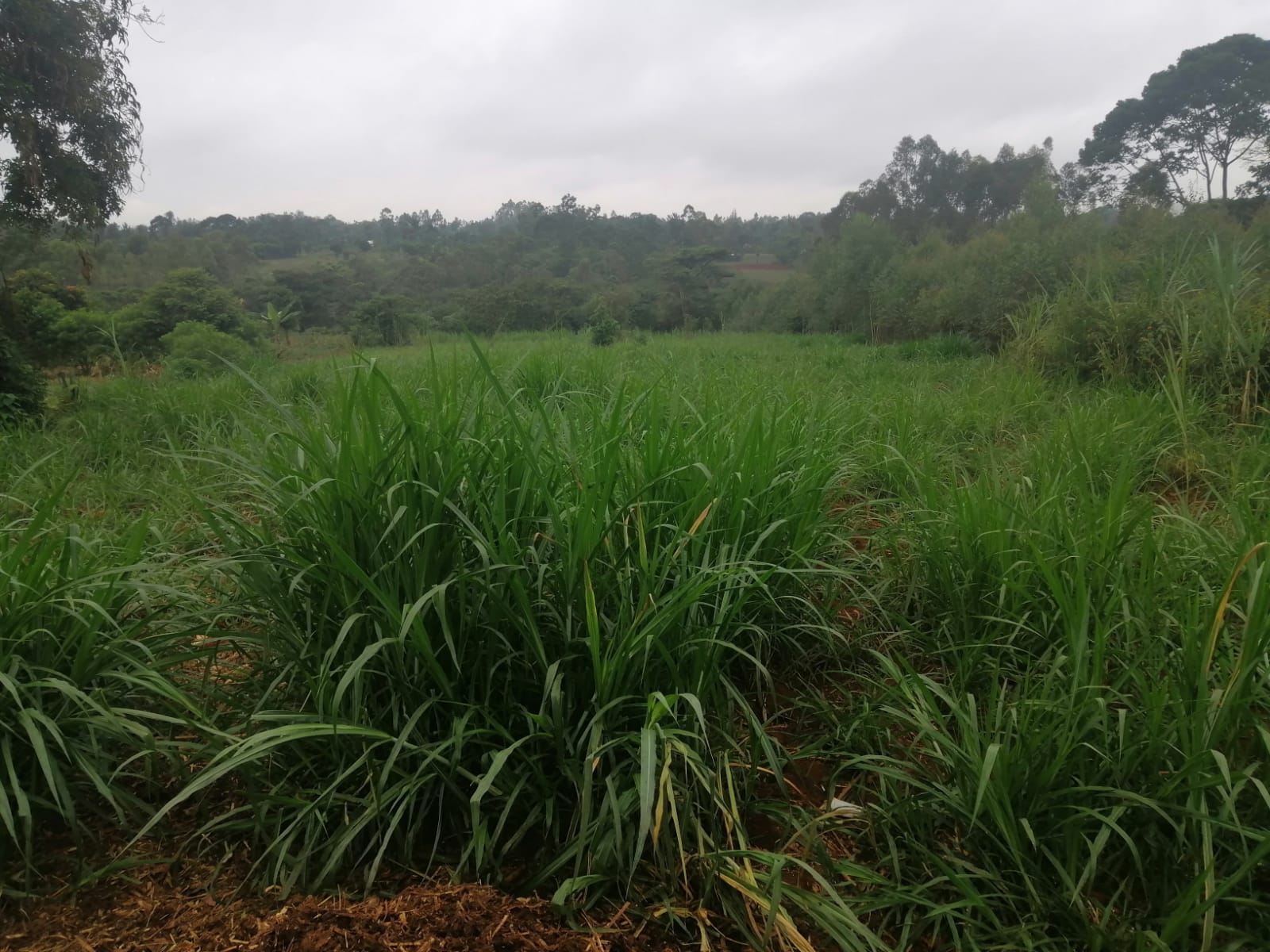 /images/claves/claves7.jpeg1