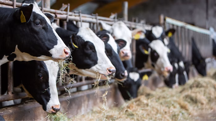 Where healthy meets delicious