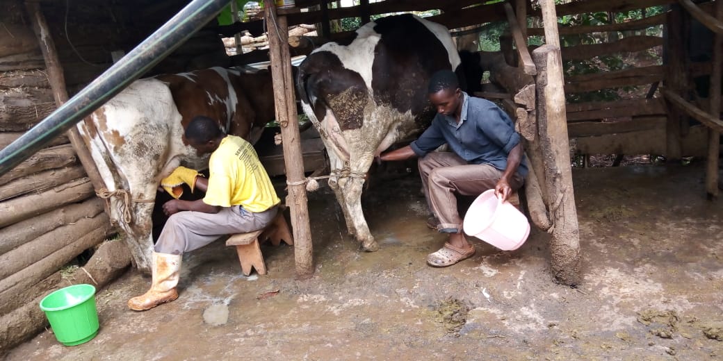 /images/diaries/diary1.jpeg1