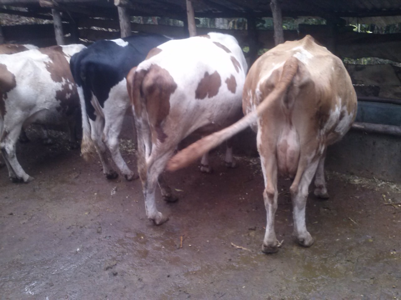 /images/diaries/diary10.jpeg1