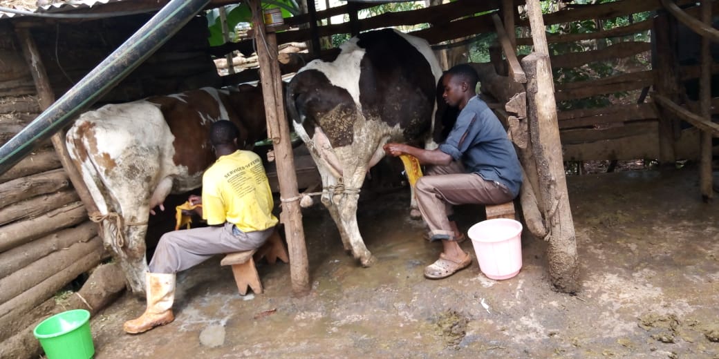 /images/diaries/diary13.jpeg1