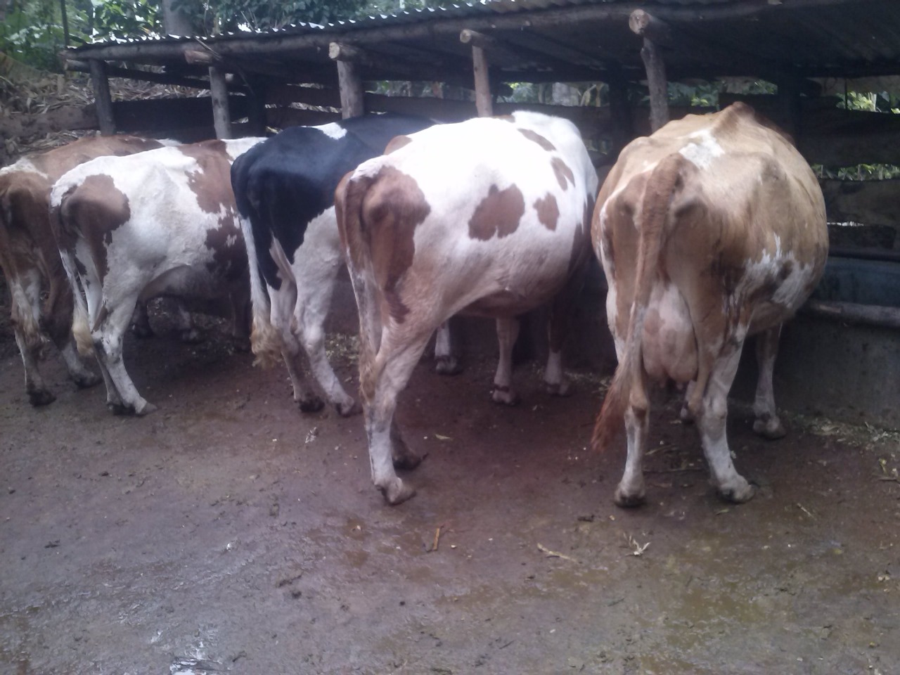 /images/diaries/diary3.jpeg1