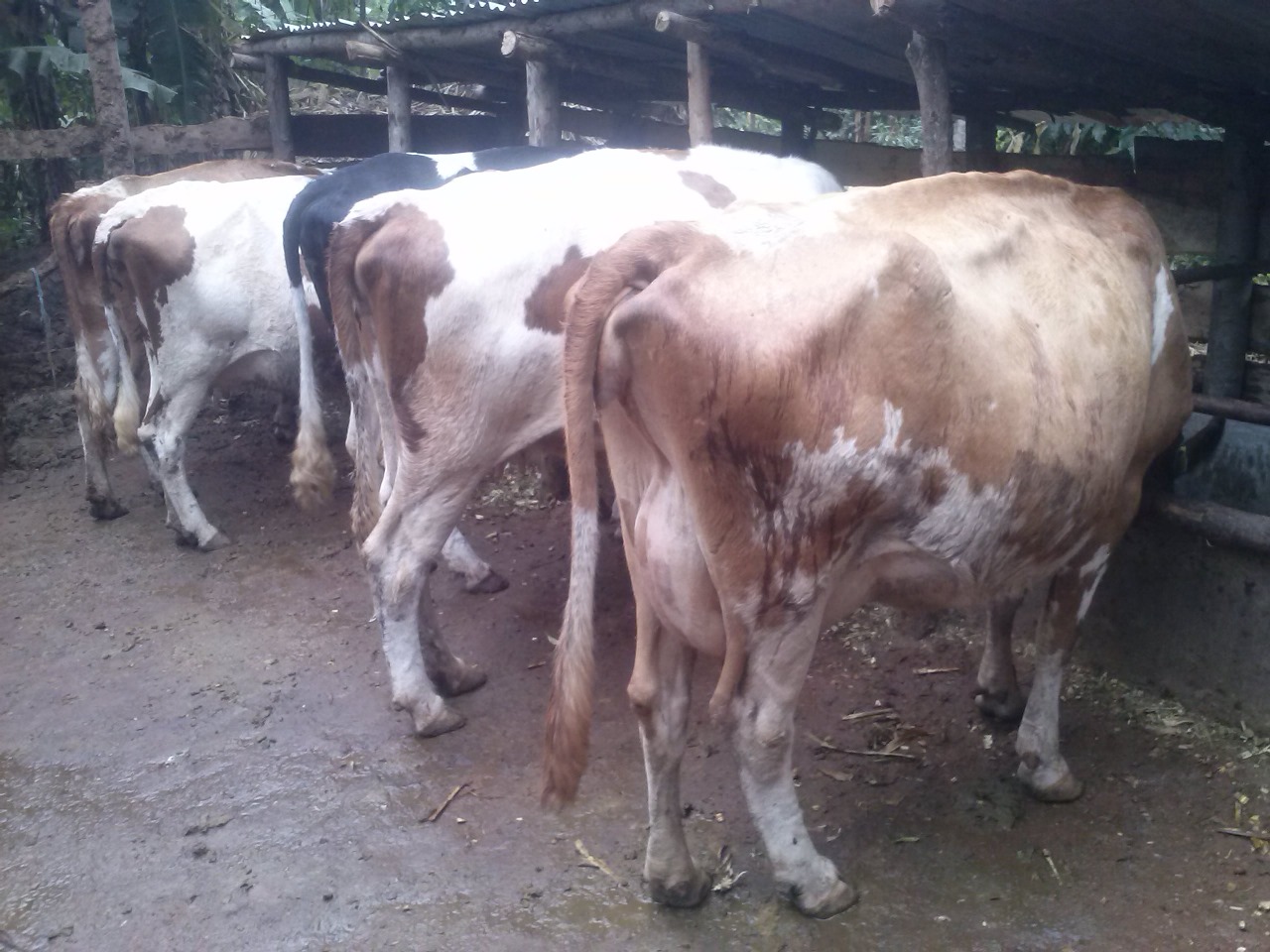 /images/diaries/diary6.jpeg1