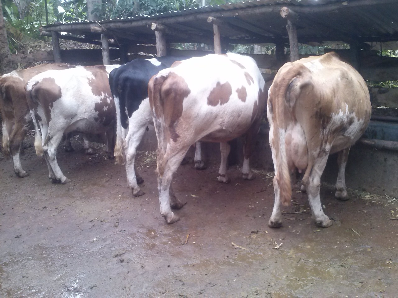 /images/diaries/diary7.jpeg1