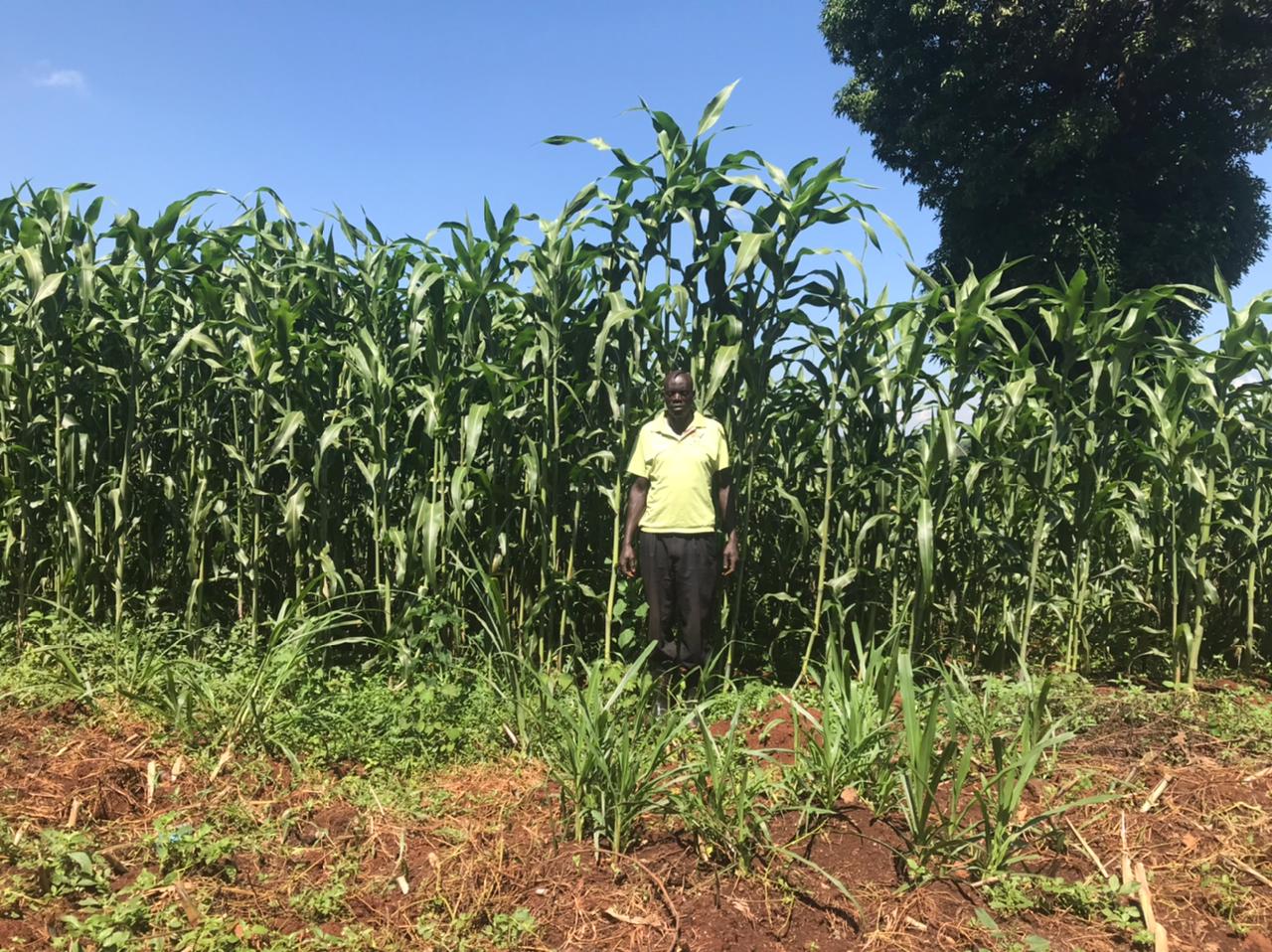 /images/green-farm/img1.jpeg1