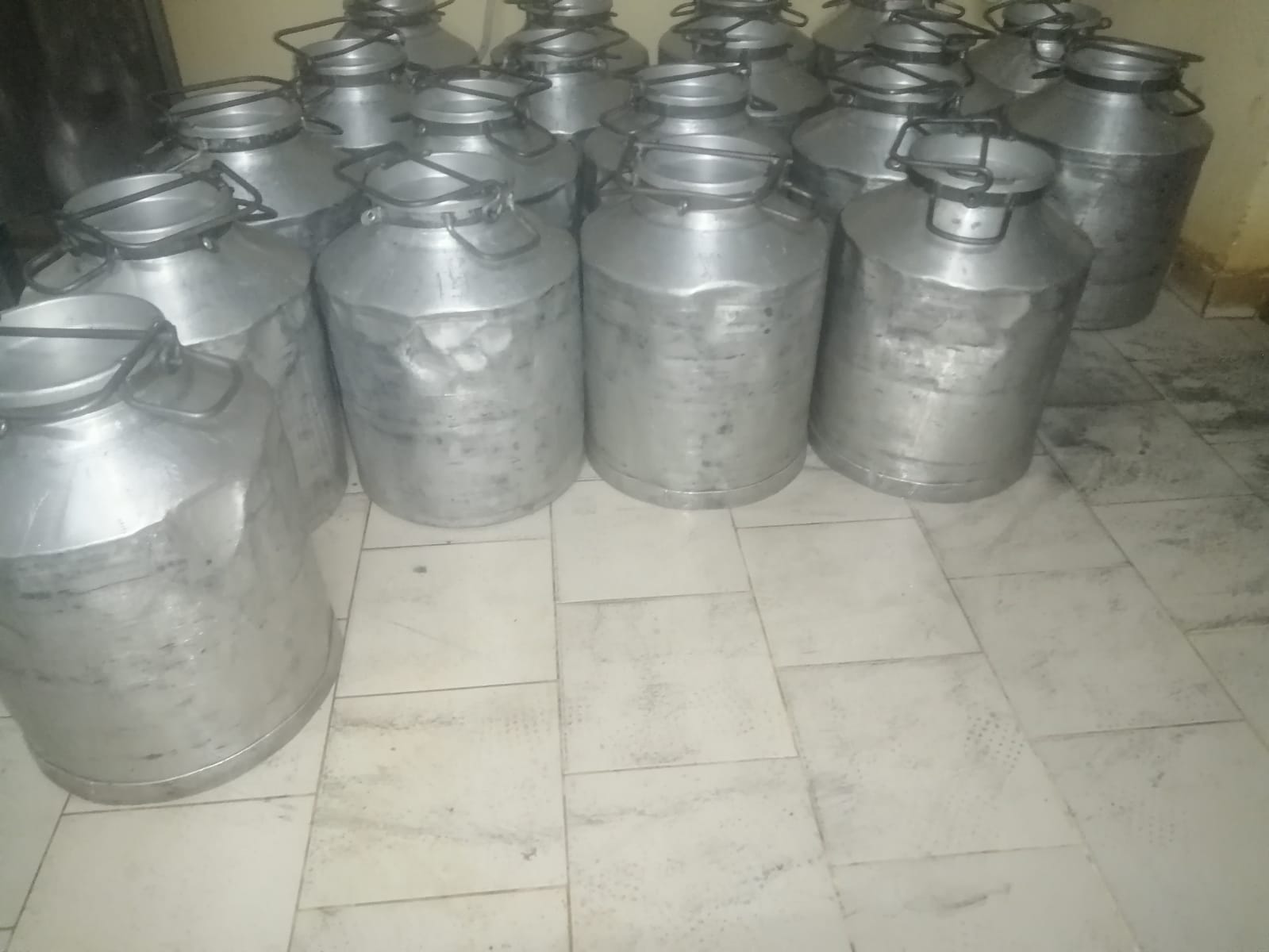 /images/milkers/milker9.jpeg1