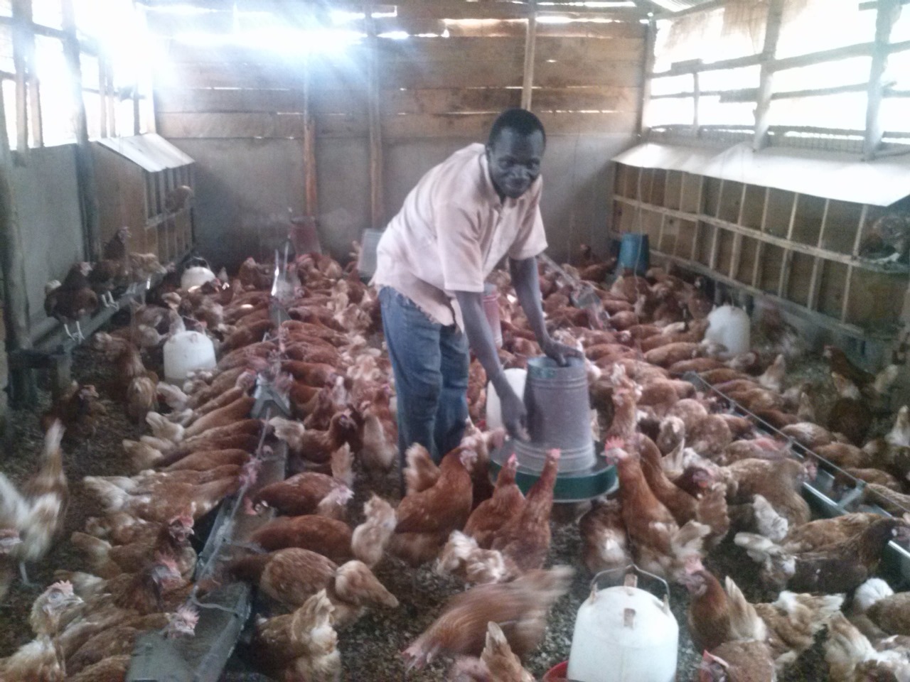 /images/poultry/pt11.jpeg1