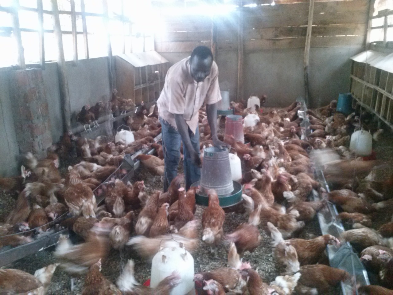 /images/poultry/pt17.jpeg1