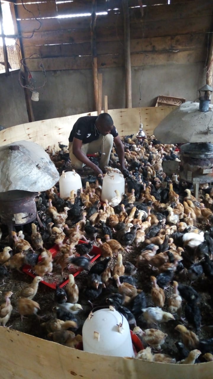 /images/poultry/pt28.jpeg1