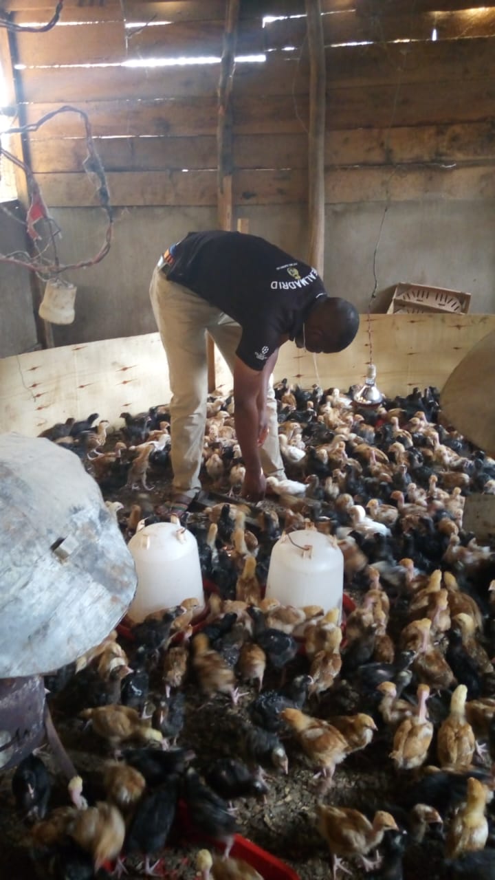 /images/poultry/pt29.jpeg1